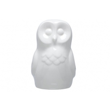 Lamp uil
