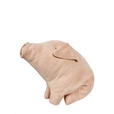 Grote knuffel varken
