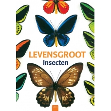 Levensgroot insecten