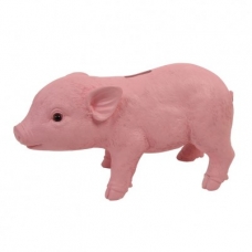 &Klevering Spaarpot roze varken
