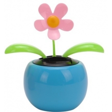 Dansende solar bloem