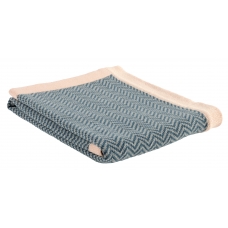 La cerise sur le gateau Plaid Chevron biscuit